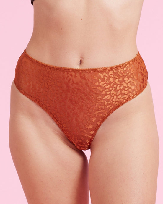 Brief – Luxury Mesh Underwear