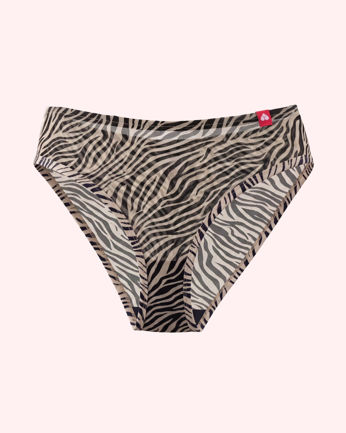 Slip – Mesh Unterwäsche