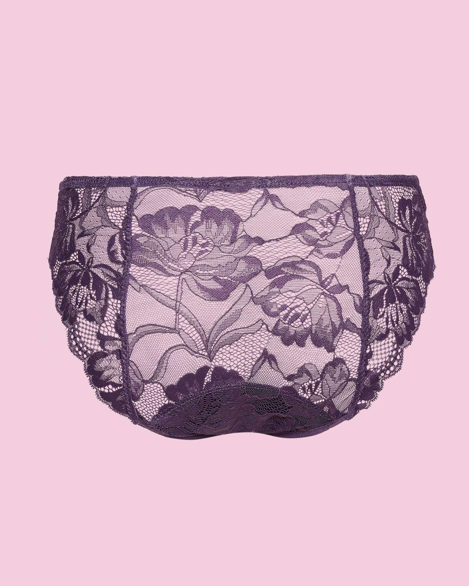 Luxury Lace Brief - Light