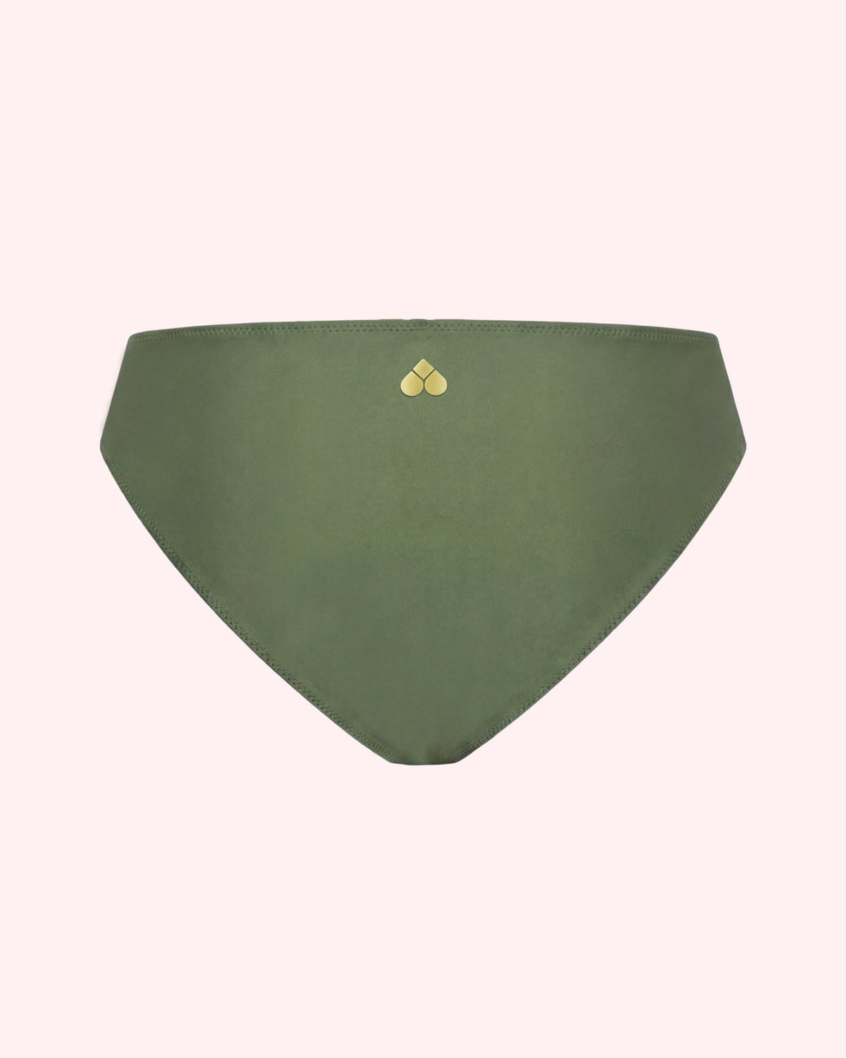 Period Bikini Slip