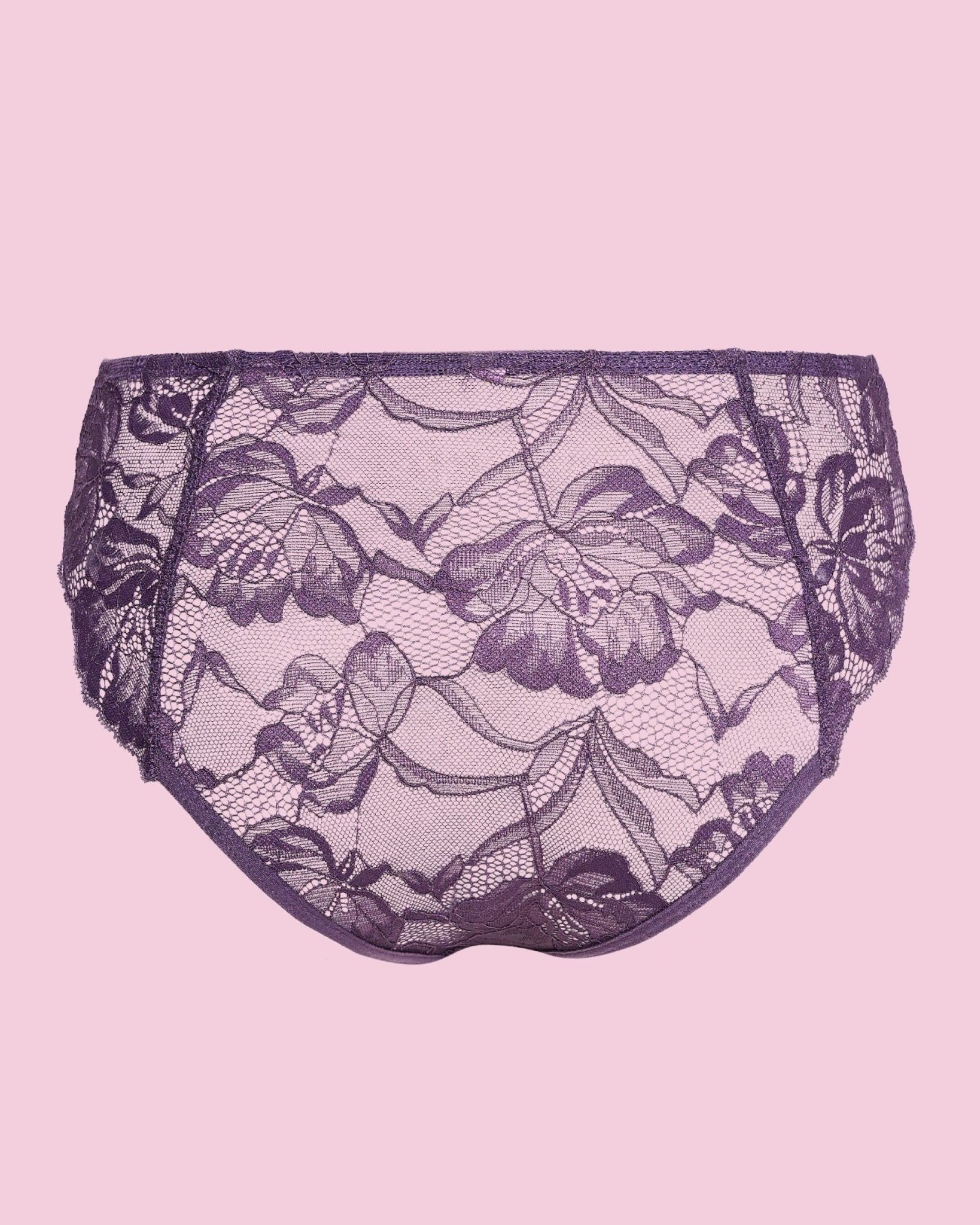 Brief – Luxury Lace Underwear