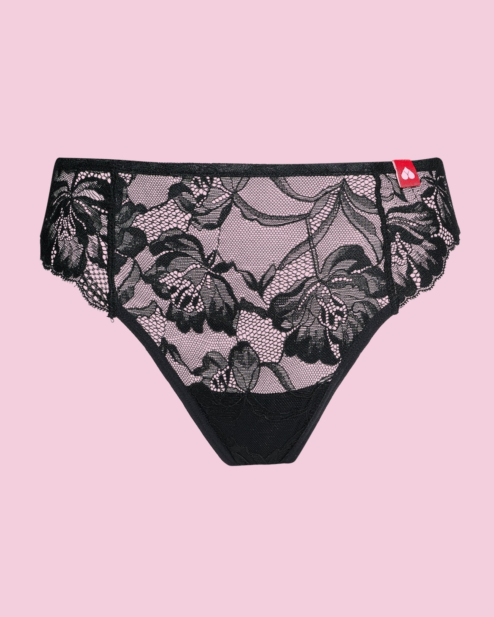 Brief – Luxury Lace Underwear